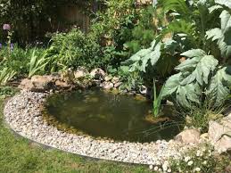best garden pond ideas for inspiration