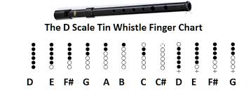 Pin On Tin Whistle