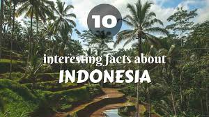 10 interesting facts about indonesia