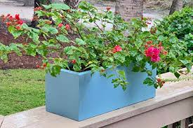 Shade Flowers And Plants For Flower Boxes
