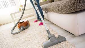 professional carpet cleaning company