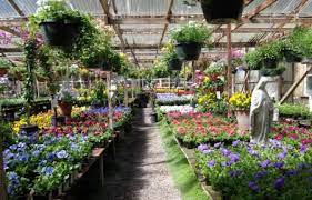 6 Nurseries To Discover In San