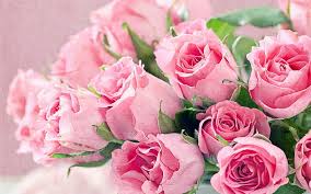 We loaded the images of hd love rose flowers which have pixel resolution of 1920×1080. Hd Wallpaper Fresh Flowers Bouquet Of Pink Roses Hd Desktop Backgrounds Free Download Wallpaper Flare