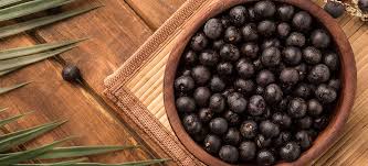 acai berry benefits nutrition facts
