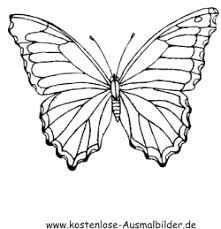 Hier findest du zahlreiche kostenlose häkelanleitungen für dein projekt ️ schlüsselanhänger ️ tücher ️ amigurumis ️ stirnbänder uvm. Ausmalbild Schmetterling Zum Kostenlosen Ausdrucken Und Ausmalen Ausmalbilder In 2021 Ausmalbilder Schmetterling Schmetterling Illustration Schmetterling Zeichnen
