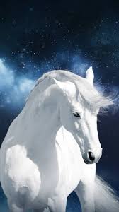 22 beautiful white horse wallpapers