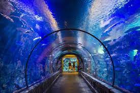 must see las vegas attractions that