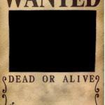 Well this is probably about as close as w. One Piece Wanted Poster Template Meme Generator Imgflip