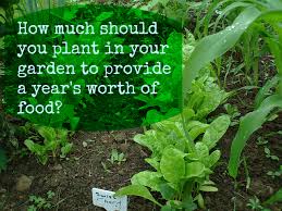 How Much Should You Plant In Your Garden To Provide A Years