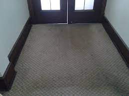quick dry carpet care reviews webster