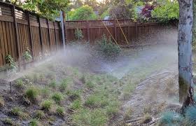 What Is The Best Type Of Irrigation