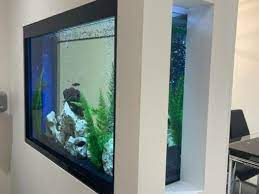 In Wall Aquarium Design Installation