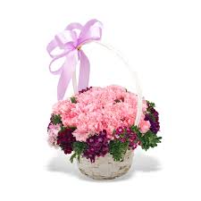 send 10 pink carnation with baby breath