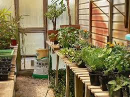 Greenhouse The Vegetable Gardener