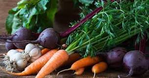 What is an organic vegetable garden?
