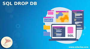 sql drop db command usage of drop