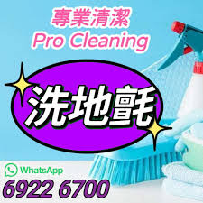 清除甲醛carpet cleaning pest