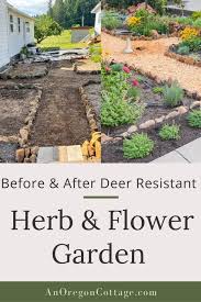 Deer Resistant Flower Garden Before