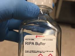 good ripa buffer biocompare com kit
