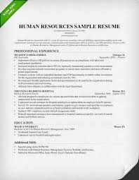 Human Resources Hr Resume Sample Writing Tips Resume