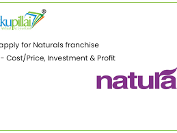 naturals franchise in india