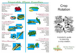 Crop Rotation Teacher Student Guide