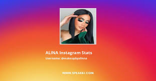 alina insram followers statistics