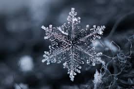 nature ice snowflake macro 2560x1707