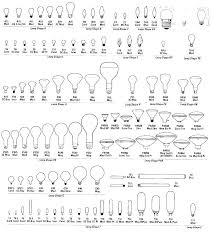 Light Bulb Sizes And Shapes Gamesbook Info