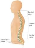Image result for icd 10 code for chronic neck pain with radiculopathy