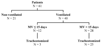 Flow Chart Of The Study Mv Mechanical Ventilation
