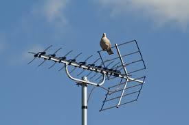 How To Choose A Tv Antenna Techhive