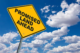 Image result for the promised land
