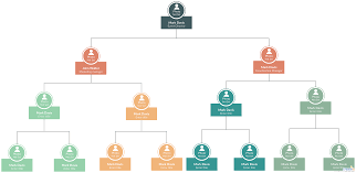 Org Chart Best Practices For Effective Organizational Charts