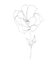 Original Abstract Minimalist Drawing Blume Series By Artseas Foto