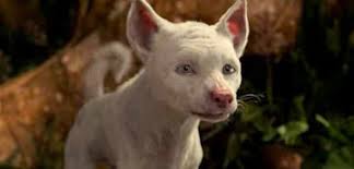 Mowgli will be released on netflix uk in 2019. Mogli Bei Netflix Die Wichtigsten Unterschiede Zu Disneys Jungle Book