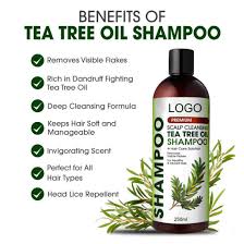 Using tea tree oil makes hair follicles more receptive to nutrition and this promotes overall hair growth. China Natural Mild Organic Deep Cleansing Hair Shampoo Herbal Tea Tree Oil Hair Growth Oil Control Shampoo China Shampoo And Hair Shampoo Price