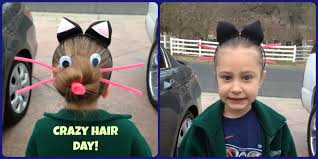 Image result for crazy hair day ideas