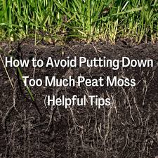 much peat moss helpful tips