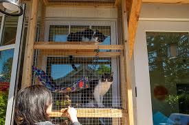 Decor Ideas For Your Catio That Your