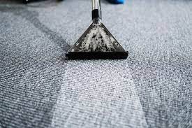 commercial carpet cleaning in florida