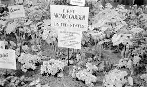 atomic gardening in the 1950s
