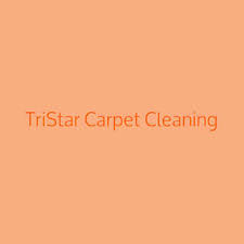 4 best fremont carpet cleaners