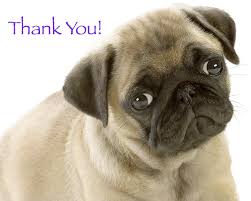 Image result for thank you animal pictures