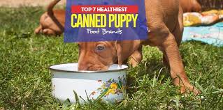 Holistic select — large & giant breed puppy health lamb meal & oatmeal recipe dry dog food. Top 7 Best Canned Puppy Food Brands In 2017 For Small And Large Dogs