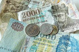 ハンガリー フォリント紙幣と硬貨のお金の山の写真素材・画像素材 Image 47591031