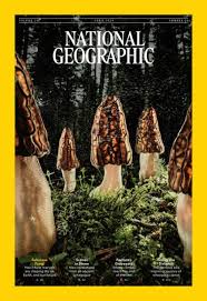national geographic nook magazine