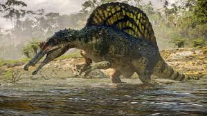 Image result for spinosaurus