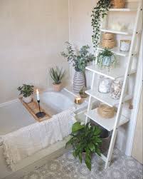 Plants Decors Ideas