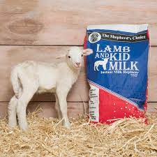lamb kid instant milk replacer